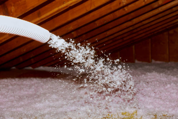 Best Insulation Inspection Services  in Wilmington, NC