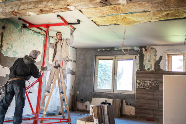 Best Professional Insulation Contractor  in Wilmington, NC