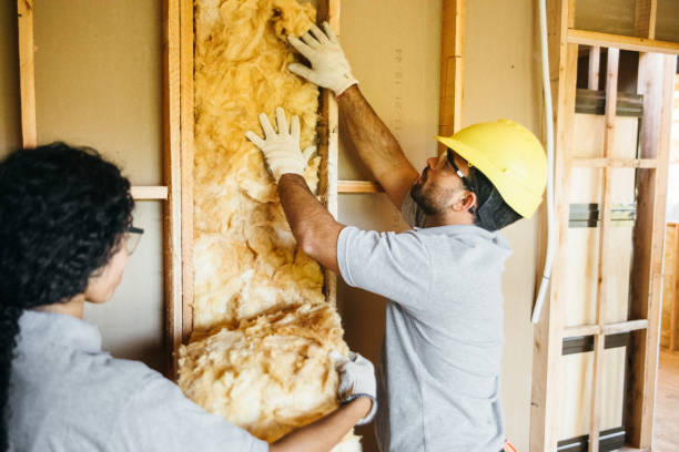 Best Spray Foam Insulation  in Wilmington, NC