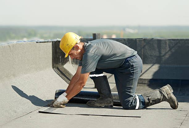 Best Local Insulation Services  in Wilmington, NC