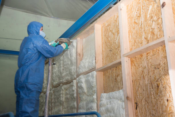 Best Energy-efficient Insulation  in Wilmington, NC