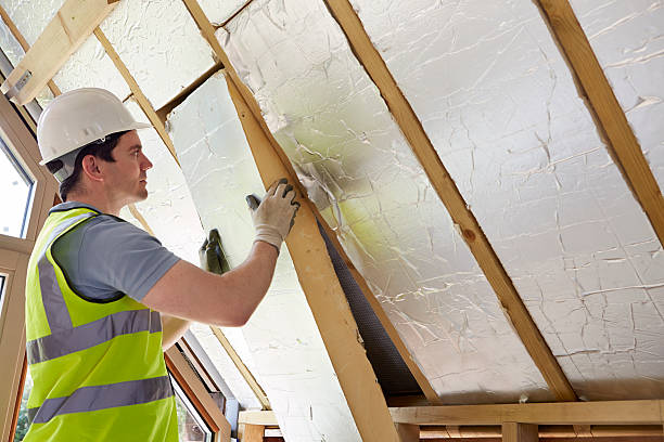 Best Insulation for New Construction  in Wilmington, NC