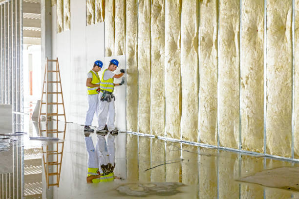 Best Affordable Insulation Services  in Wilmington, NC